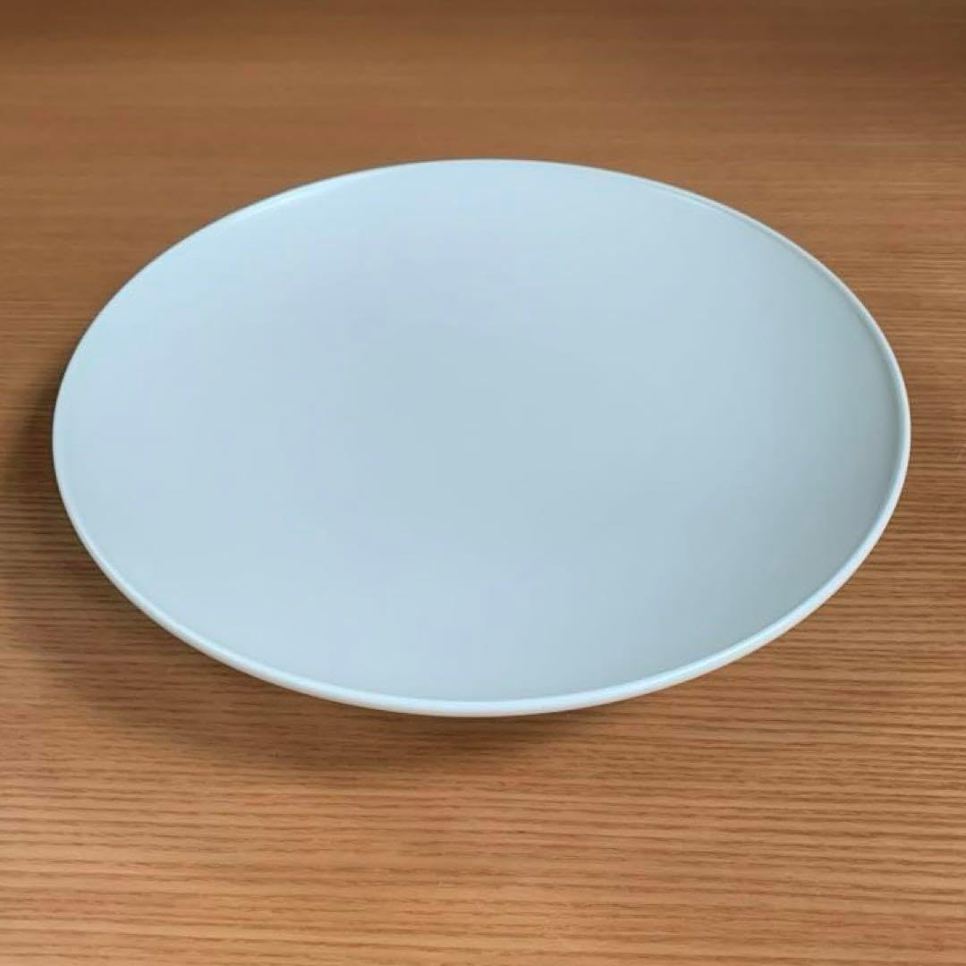 アリタポーセリンラボ：ジャパンスノー盛鉢22cmプラチナ JAPAN SNOW